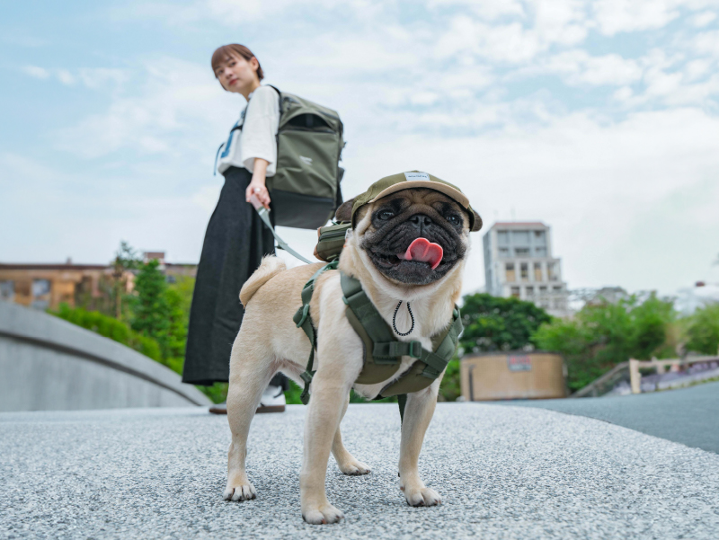 活動首圖1