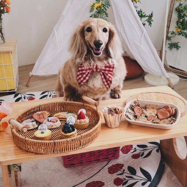 THE PET BAKERY_合作單位