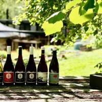 Leading Brands Wines and Spirits 酩洋國際酒業 Leading Brands Wines and Spirits 酩洋國際酒業