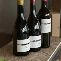 Plaisivin 酒迷聚樂部 Plaisivin 酒迷聚樂部