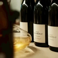Le Sauvage 旭宣葡萄酒 Le Sauvage 旭宣葡萄酒