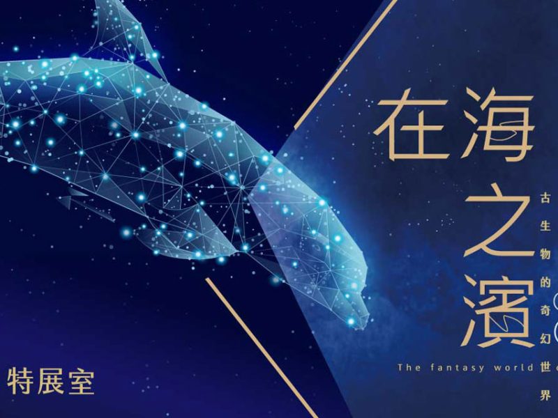 科博館