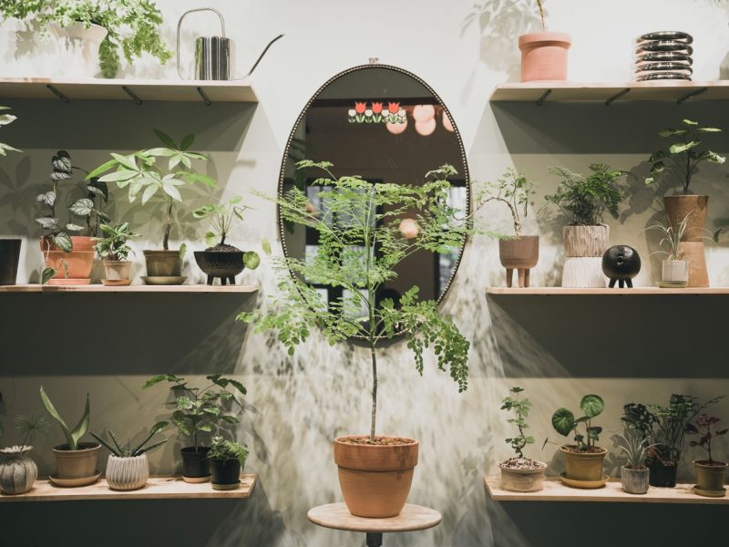 草草一生